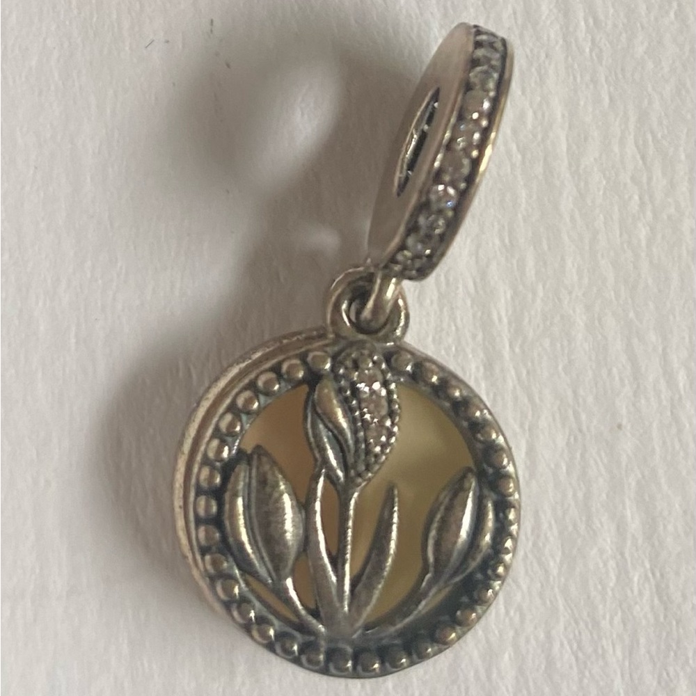 Authentic Pandora charm